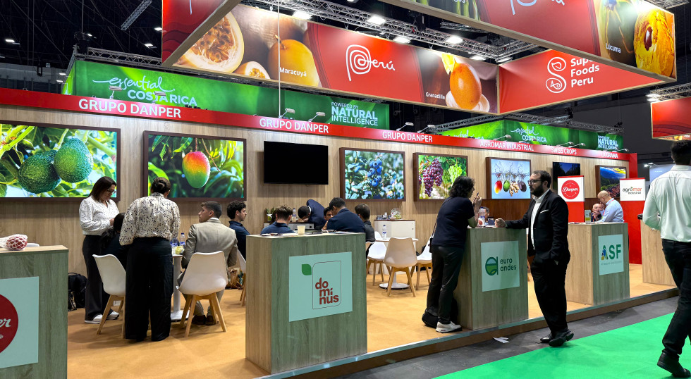Perú, primer exportador mundial de arándano, se propone construir un sector fresero