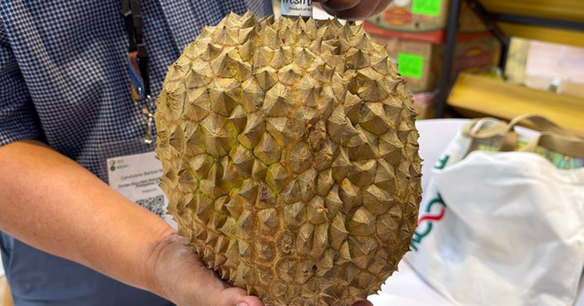 Philippinen peilen 150 Millionen kg Durian an, 90 Prozent der Ausfuhren gehen nach China
