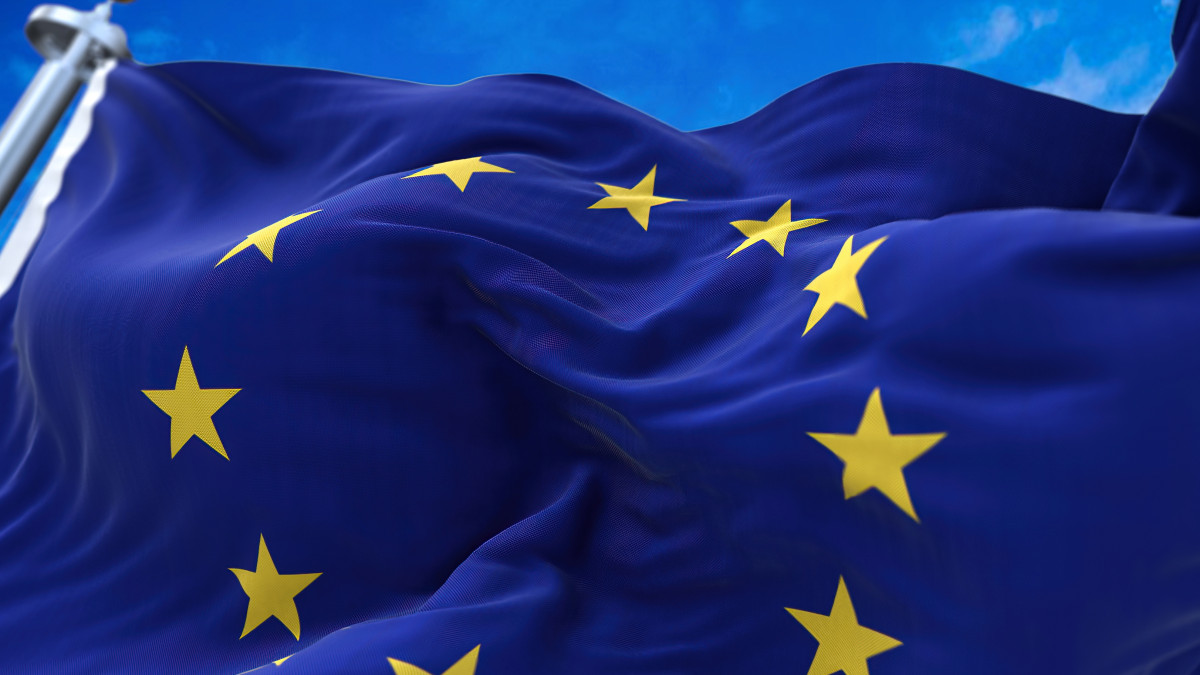 Polen führt Vorstoß von sechs EU-Staaten für einen Rettungsplan der Hausgeräteindustrie an