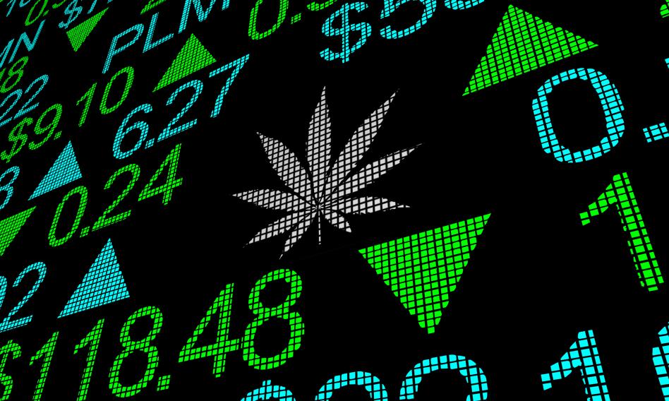 El mercado polaco de cannabis medicinal alcanza 500 millones de eslotis anuales
