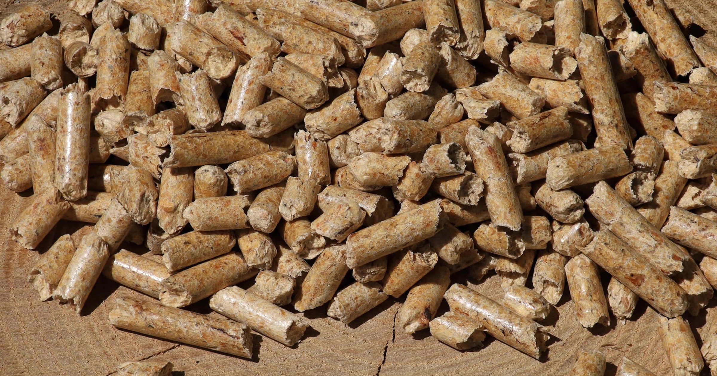 Polen startet in die Heizsaison: 450.000 Pellet-Haushalte und 1,17 Millionen Tonnen Brennstoff