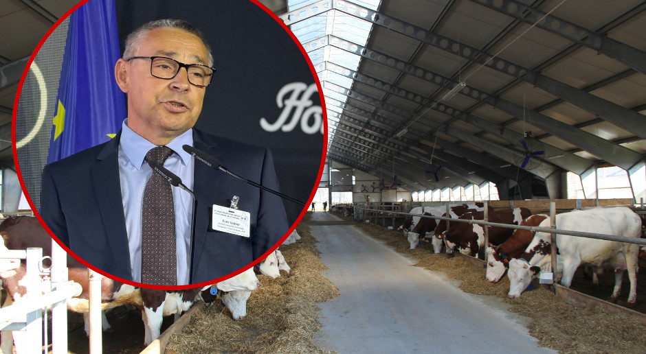 La production laitière polonaise se concentre dans les grandes exploitations