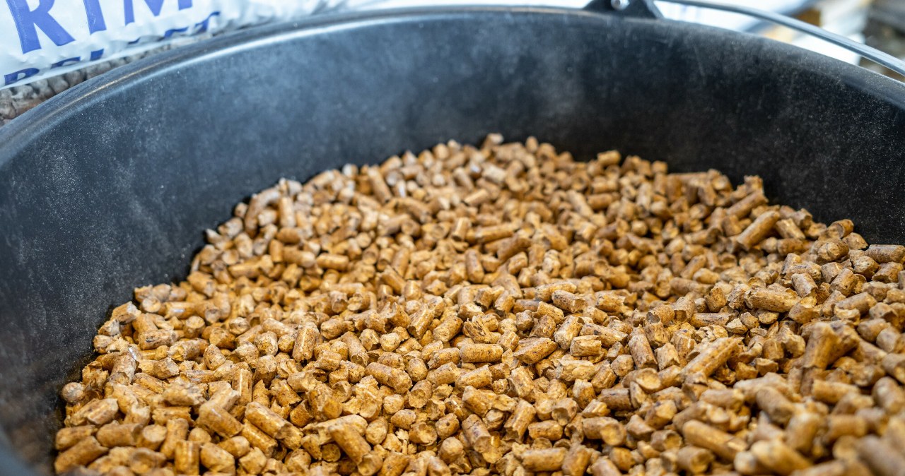 Preço do pellet de madeira sobe na Polónia com oferta restrita de biomassa