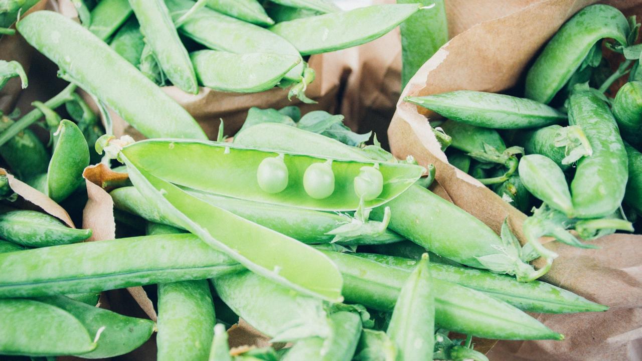 ProteinSib constrói fábrica de processamento de ervilha em Ishim com planos de exportação