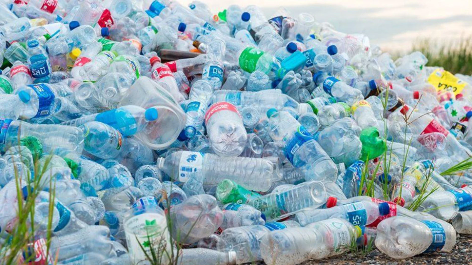 Pulpex abre en Glasgow su primera fábrica comercial de botellas de papel