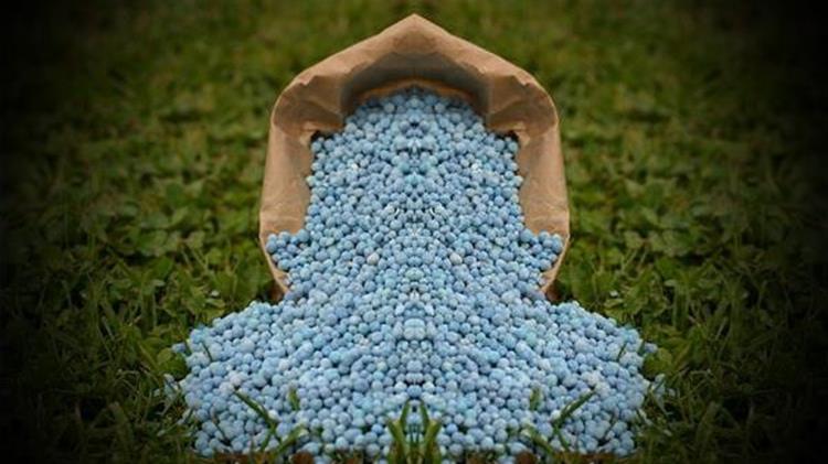 Rabobank erwartet 2026 einen Rückgang der weltweiten Phosphatdünger-Nachfrage um 7 %
