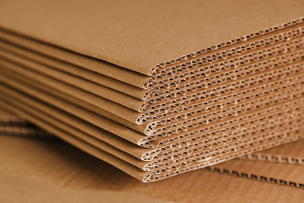 Rumäniens Papierindustrie fordert Entlastung bei Energie und Altpapier