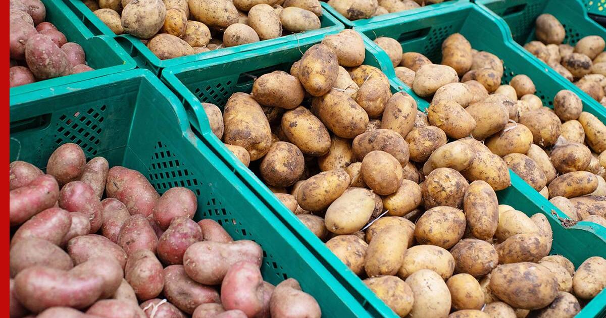 Russland senkt Kartoffelimporte aus China im August auf 1,8 Millionen $