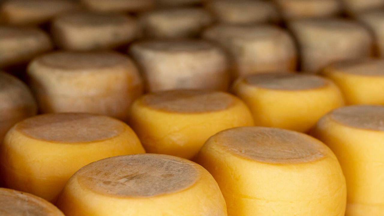 Les Russes privilégient le fromage naturel à mesure que l’avantage des substituts s’efface