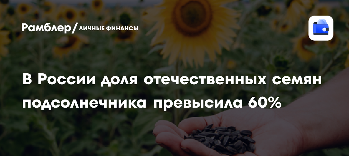 La semilla de girasol de producción rusa alcanza el 65 % del mercado interno, seis puntos más