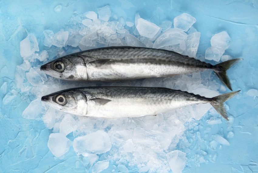 Rusia sigue siendo el principal comprador de pescado kirguís tras la reanudación de los envíos en julio
