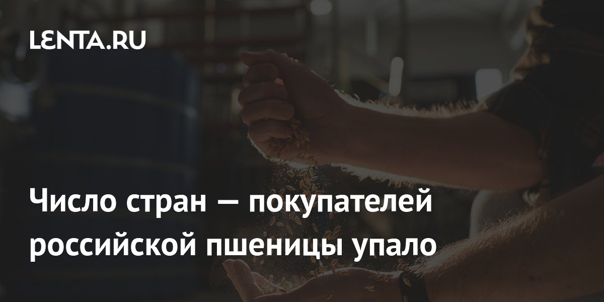 Le nombre de pays acheteurs de blé russe tombe de 43 à 16 en août