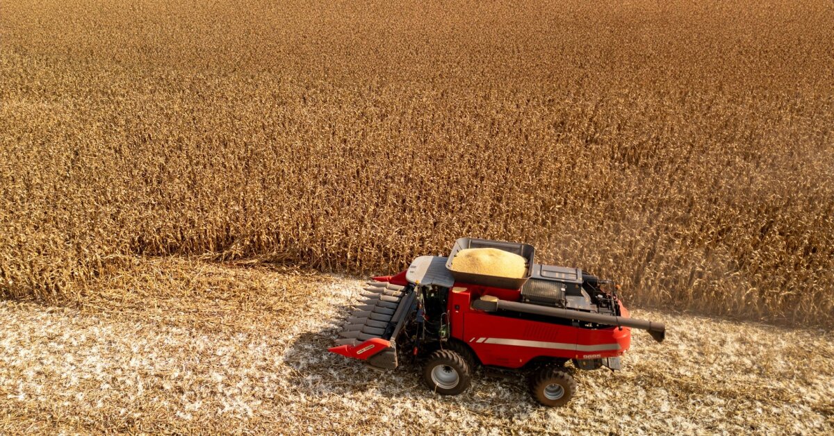 El tránsito de grano ruso por puertos bálticos alarma al sector lituano