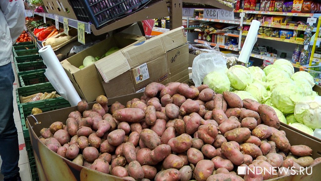 Las hortalizas bajan en Rusia con la cosecha pese a una oferta anual más ajustada