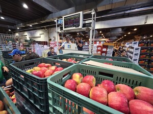 La abundante cosecha surcoreana de manzanas refuerza la oferta para Chuseok y presiona los precios