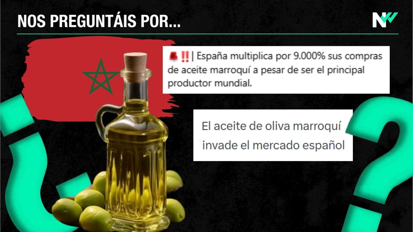 España multiplica por 68 sus importaciones de aceite de oliva marroquí