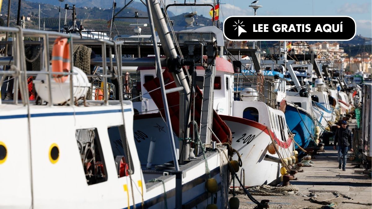 España eleva un 49,6% sus importaciones de pescado y crustáceos de Marruecos