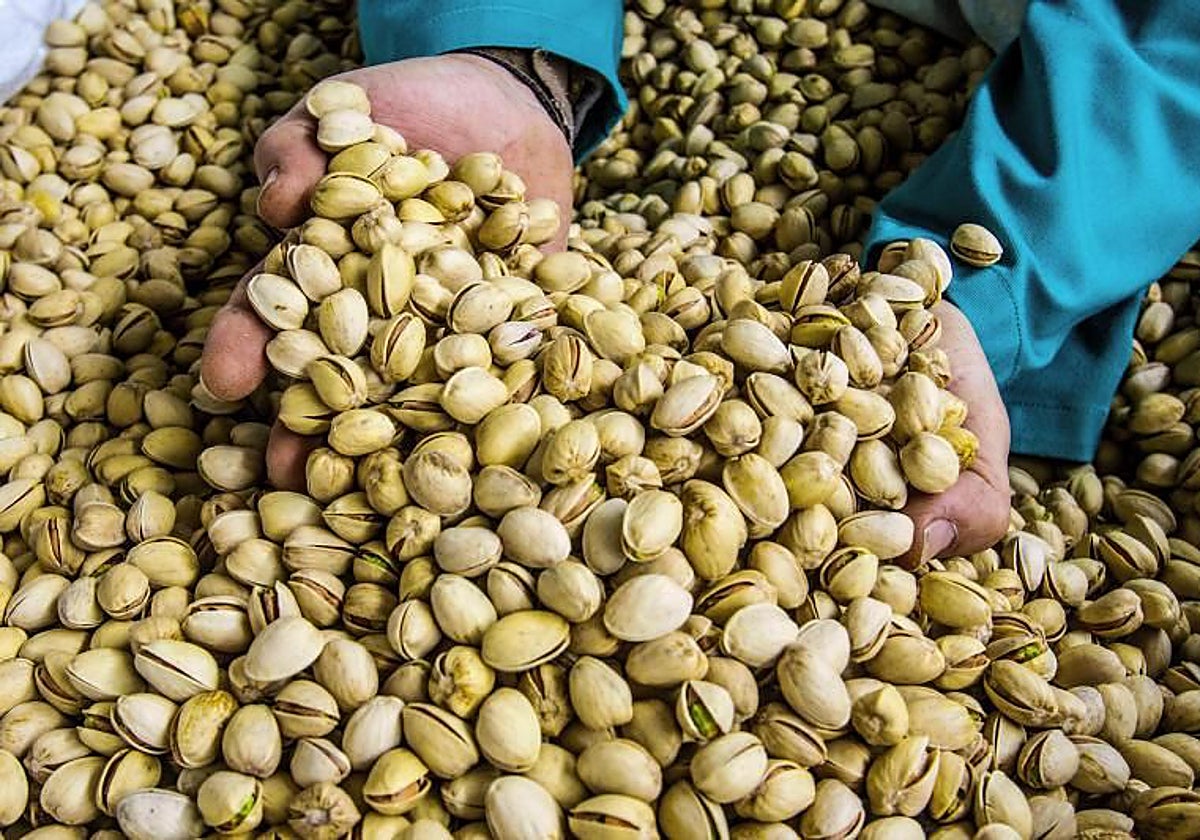 Spanien wird Europas größter Pistazienproduzent bei fast 90.000 Hektar Anbaufläche