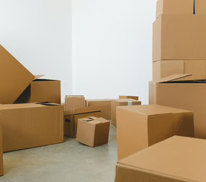 Les soldes espagnoles font progresser de 9,7 % la demande d’emballages de Rajapack