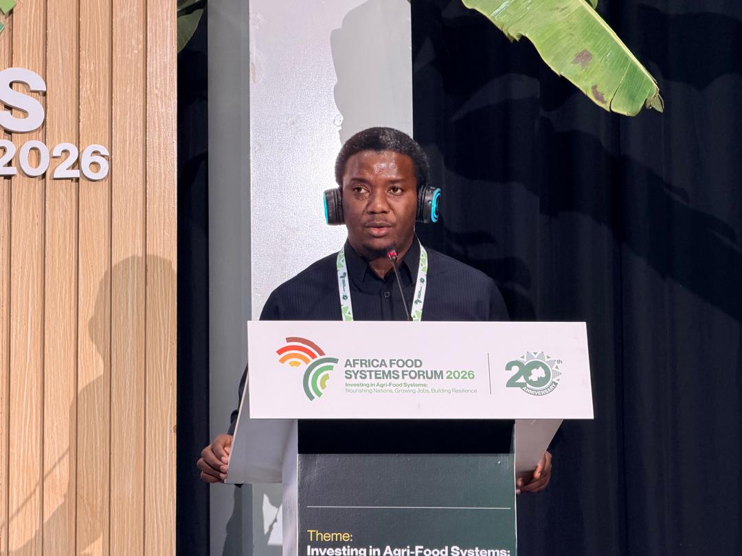 Tanzania busca inversión en maíz, aceites comestibles y aguacate