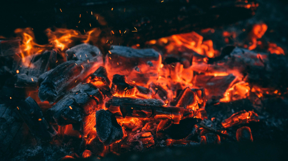WWF detecta madera tropical en el 56% del carbón de barbacoa analizado en Alemania