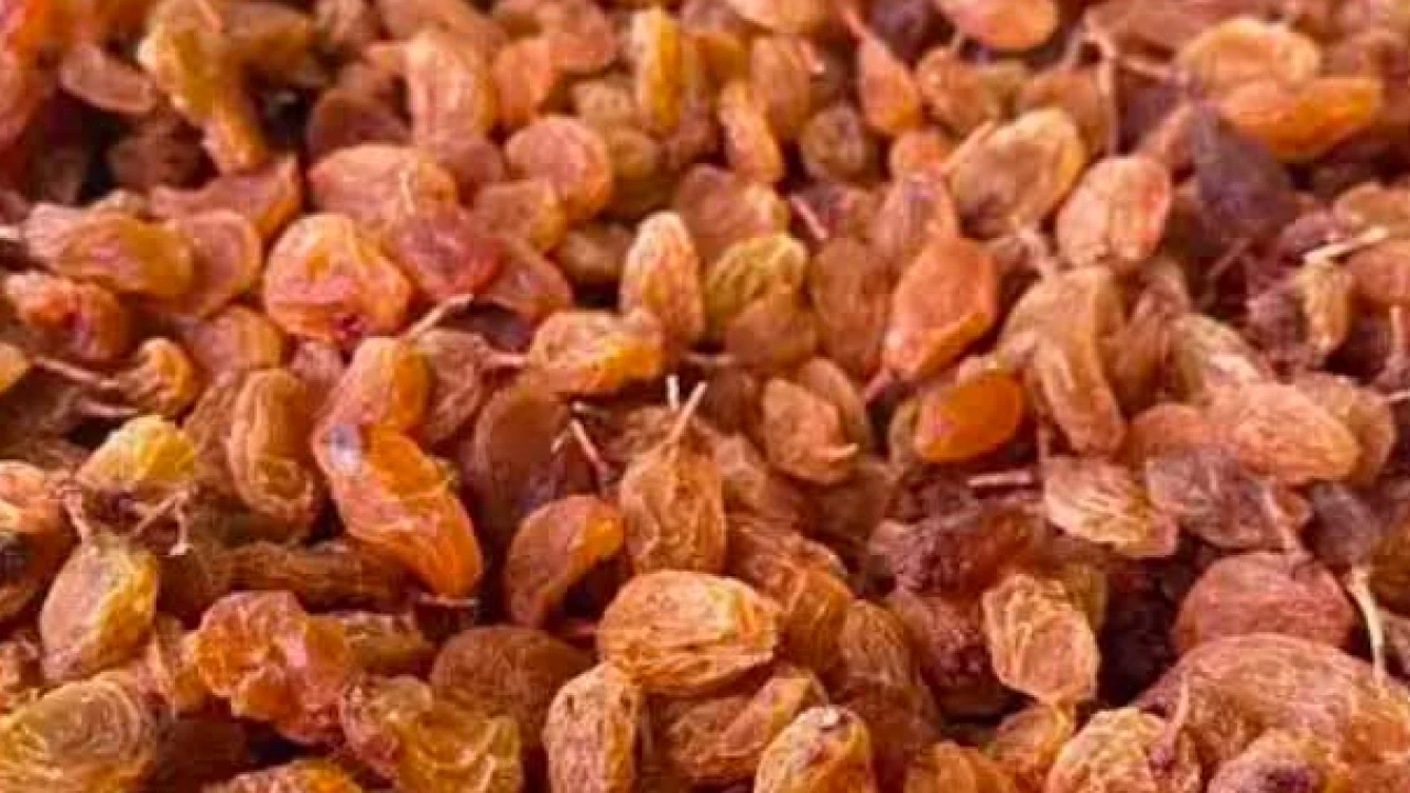 Produtores turcos de passas contestam adiantamento de 80 liras da TARİŞ