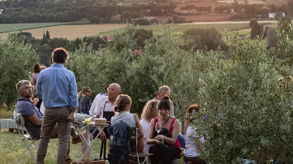 Toskana startet Olivenernte 2026 früher: gesunde Früchte, aber steigende Preise für Olivenöl extra vergine