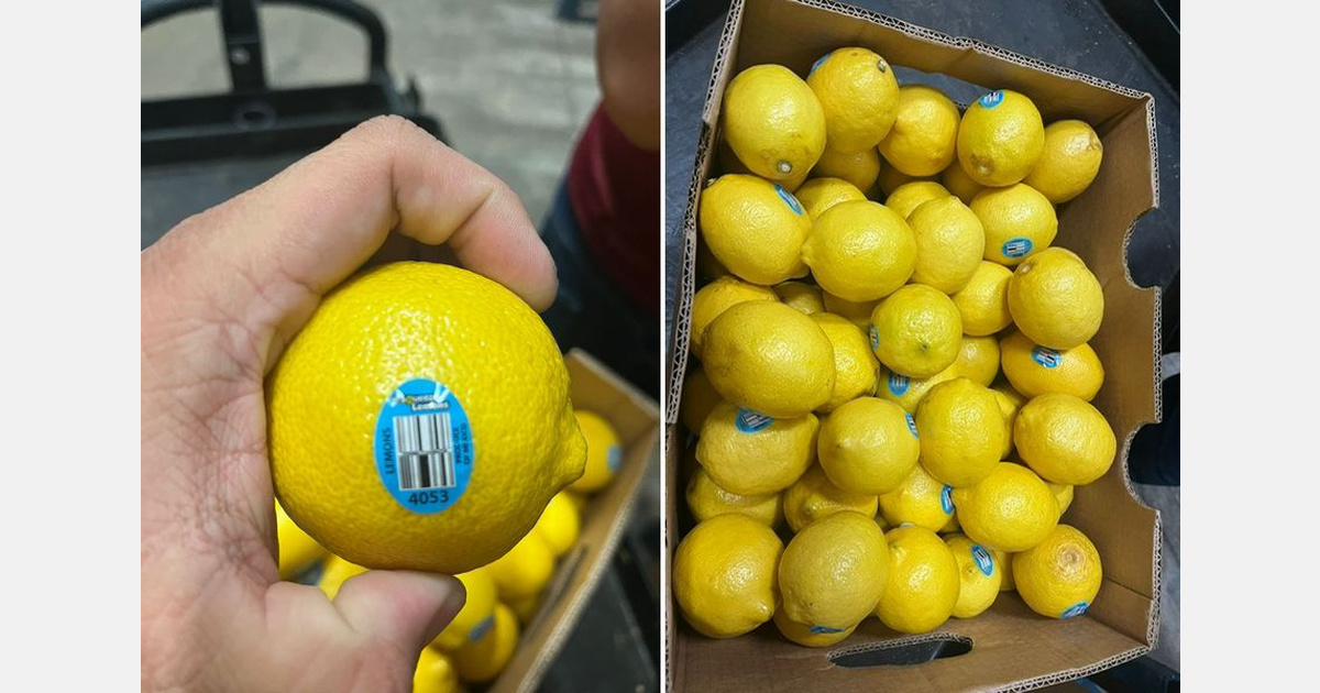 Mercado de limão dos EUA passa da escassez ao excesso de oferta
