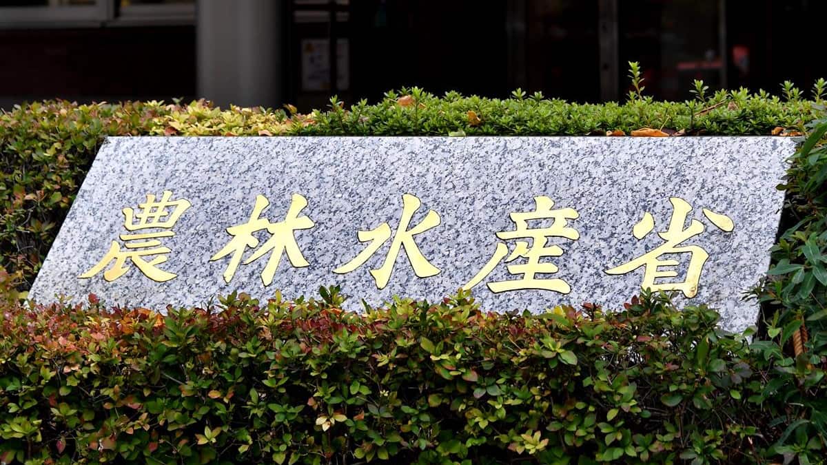 US presses Japan to accelerate approval of fresh potato imports
