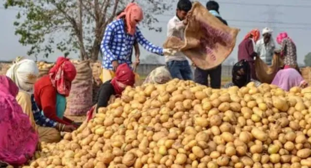 Uttar Pradesh lanza ayudas al precio y almacenamiento de la patata