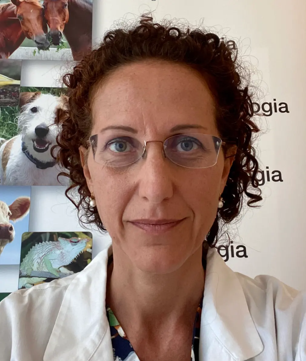 El mercado de alimentos veganos para mascotas podría alcanzar $2.000 millones en 2032