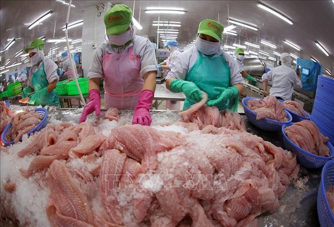 Exportações agroflorestais e pesqueiras do Vietnã crescem 7% para US$ 49,31 bilhões