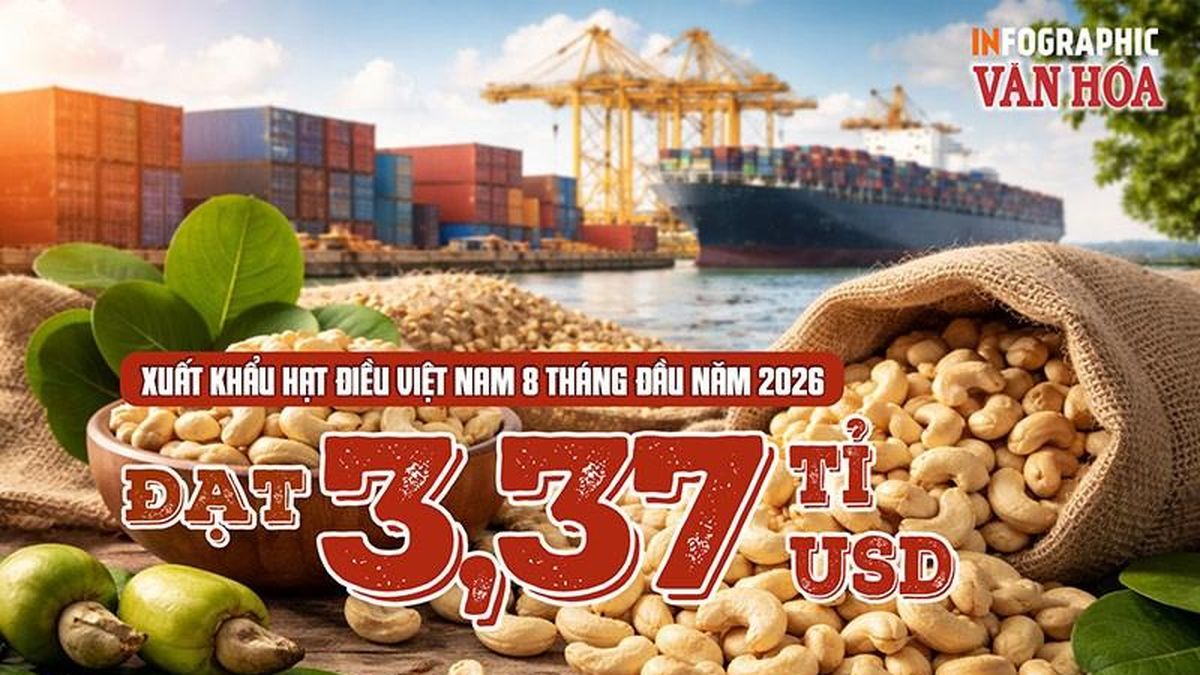 Les exportations vietnamiennes de noix de cajou atteignent 3,37 milliards de dollars en huit mois