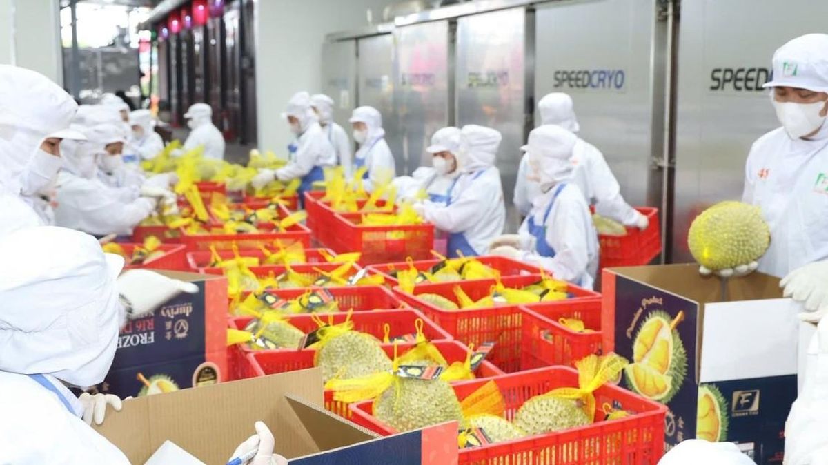 Las exportaciones hortofrutícolas de Vietnam rozan $5.870 millones por el durián