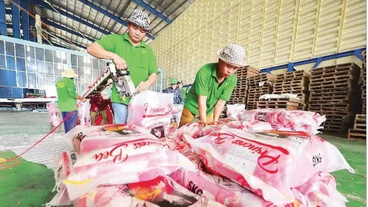 Vietnams Reisexportziel von 7,7 Millionen Tonnen unter Druck durch Wetter, Angebot und Preise