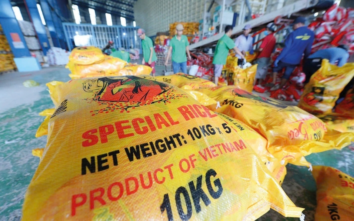 Los precios del arroz de Vietnam se estabilizan, pero la abundante oferta y la débil demanda limitan la recuperación