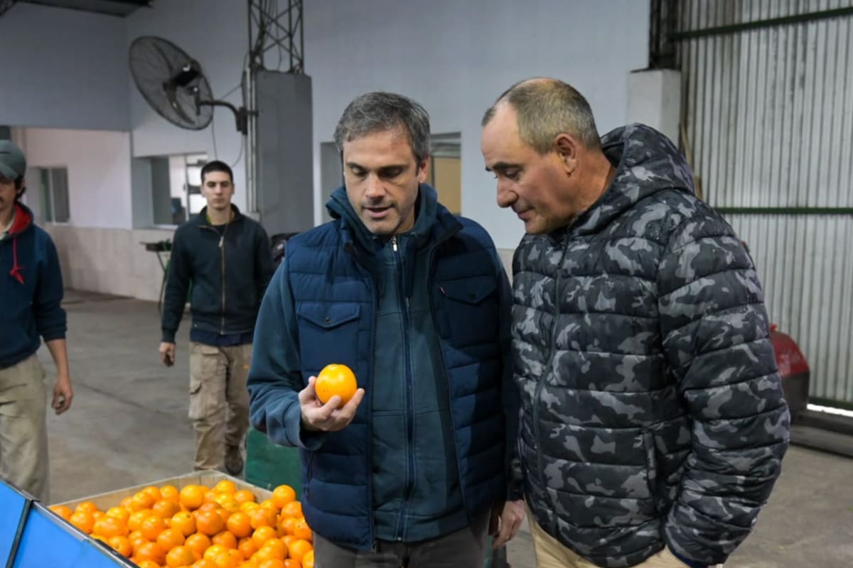 Argentinische Abgeordnete verlangen Auskunft über verzögerten US-Zugang für Zitrusfrüchte