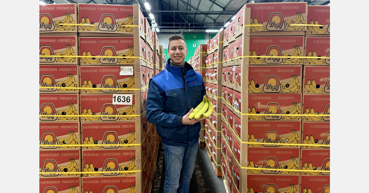 El precio del banano repunta tras un verano débil, pero surgen nuevos riesgos
