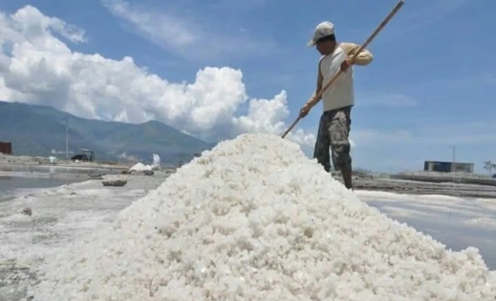 Bima impulsa el procesamiento tras cosechar 119.311,24 toneladas de sal