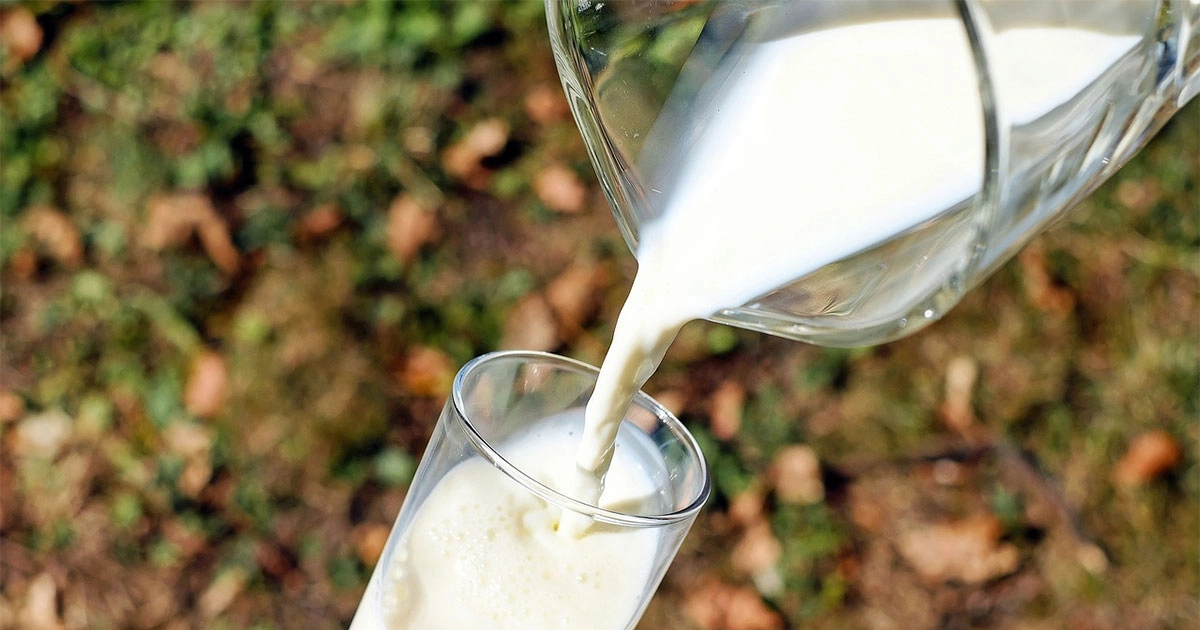 Los productores lácteos de Bosnia piden aranceles y cuotas a la importación; la leche cruda cae un 30%