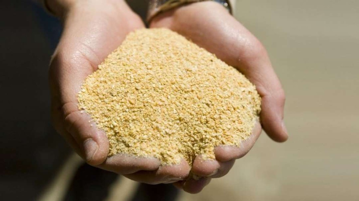 Conab abre sus existencias de harina de soja a los ganaderos de Brasil
