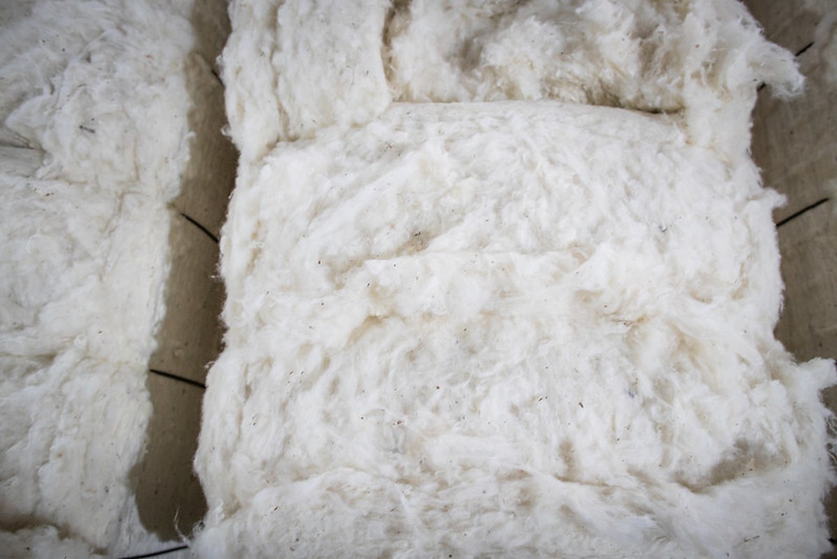 Las exportaciones brasileñas de algodón suben un 18% hasta 453.000 toneladas