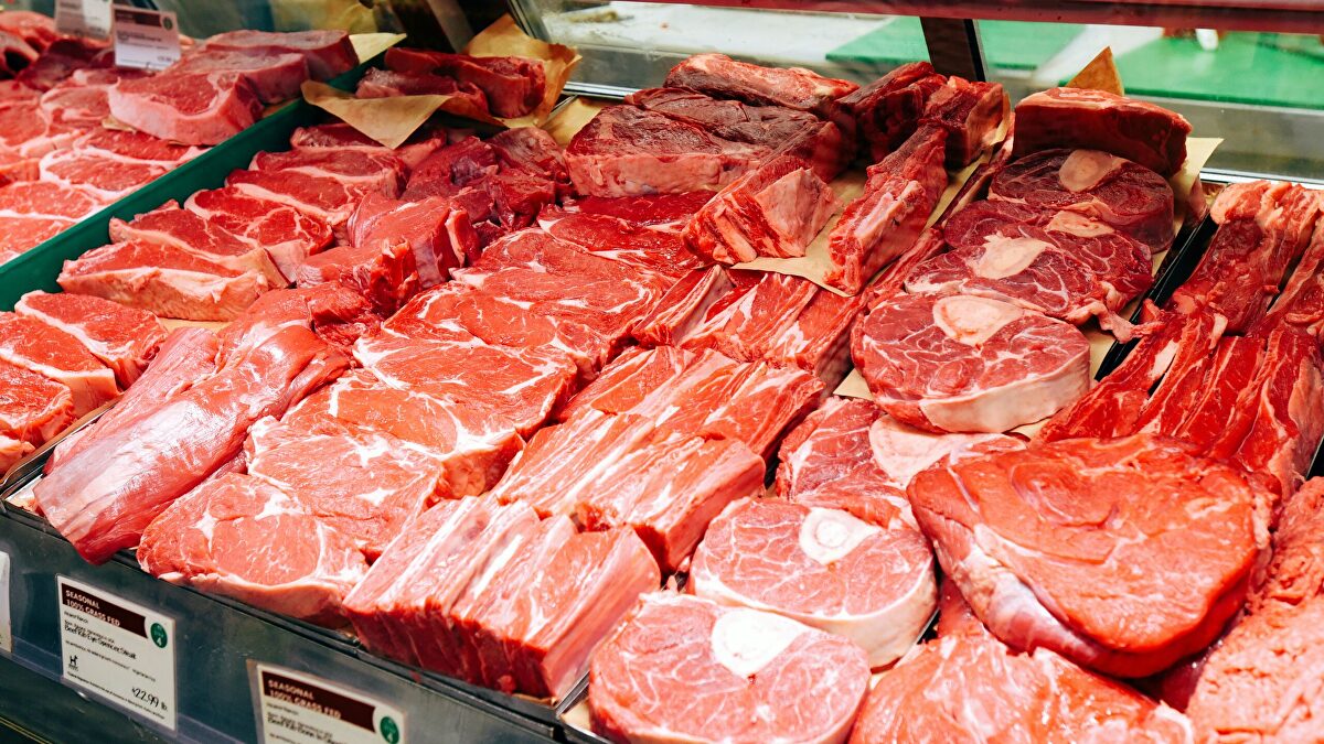 Carne bovina brasileira terá de esperar ao menos dois anos para voltar à UE