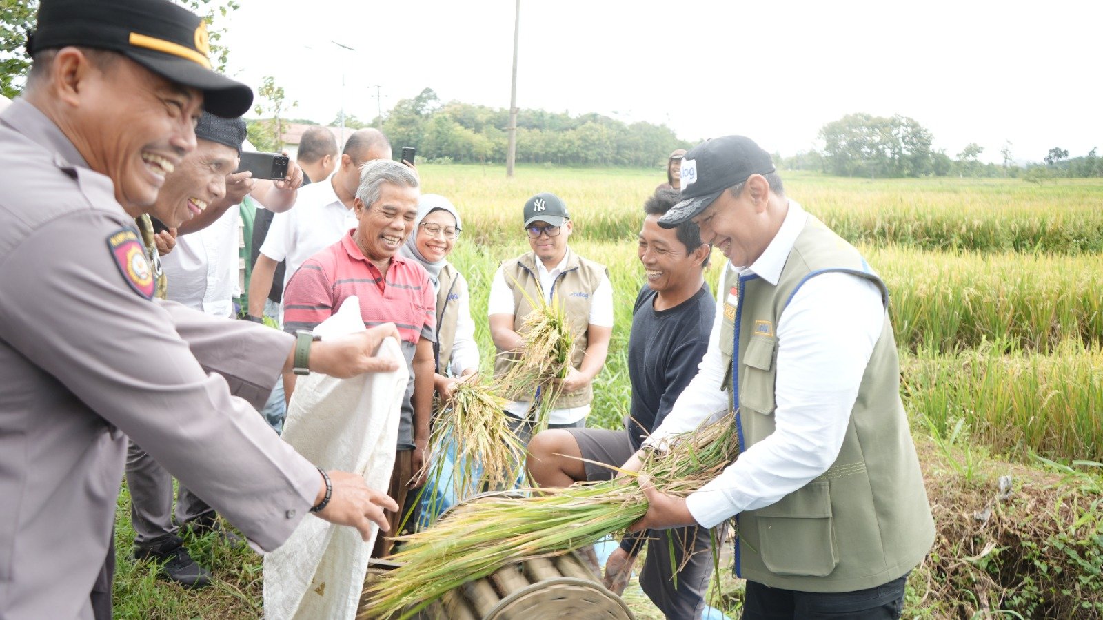 Las compras de arroz de Bulog alcanzan un récord de 4,11 millones de toneladas