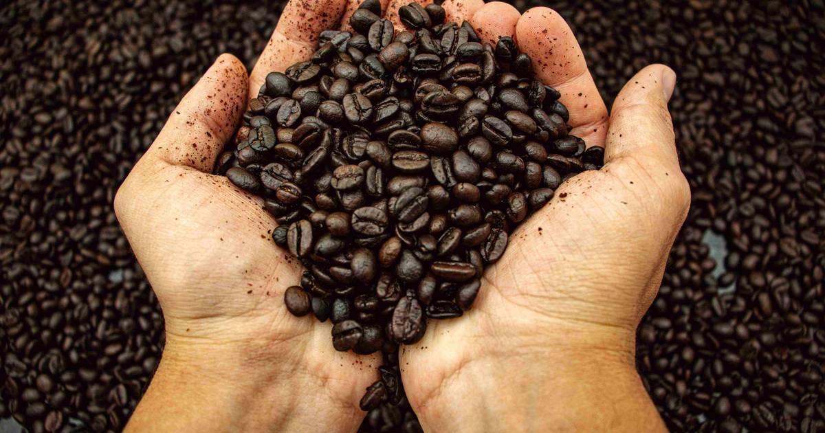 Kaffee führt Indonesiens Agrarexporte im Juli 2026 mit 221,4 Millionen US-Dollar an
