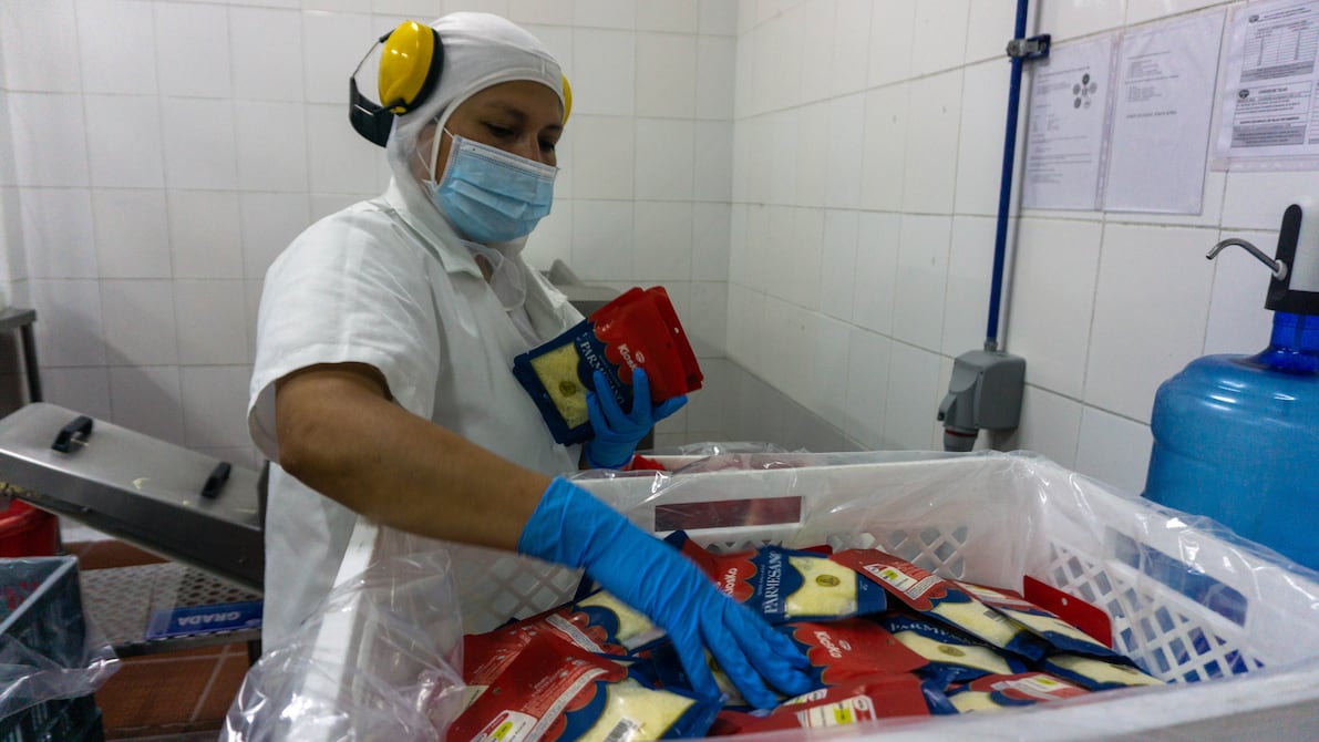 Ecuadors Milchindustrie: Umsätze plus 8 Prozent durch Kefir, griechischen Joghurt und gereiften Käse
