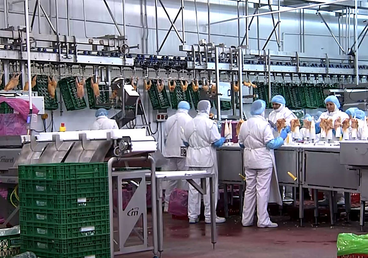 ElPozo refuerza su negocio avícola en España con la compra de Nutrave