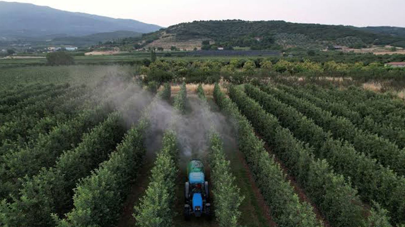 EU weist mehr türkisches Obst und Gemüse wegen Pestizidrückständen zurück