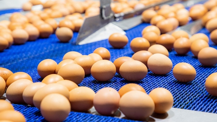 Las importaciones de huevo de la UE suben un 82,2% y aumentan la presión sobre los productores