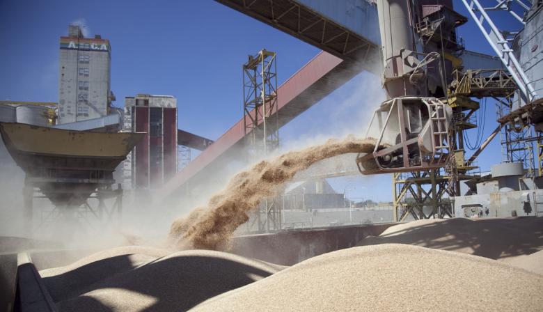 Las compras anticipadas de Europa dan ventaja a la harina de soja argentina